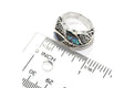 Cascada Leaf Ring- Paua